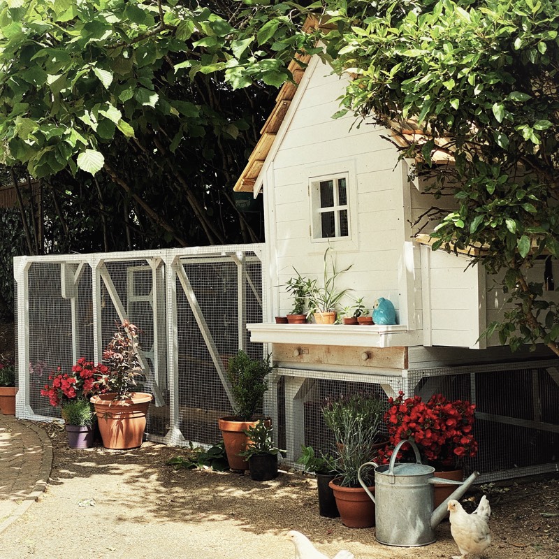 First DIY Chicken Coop