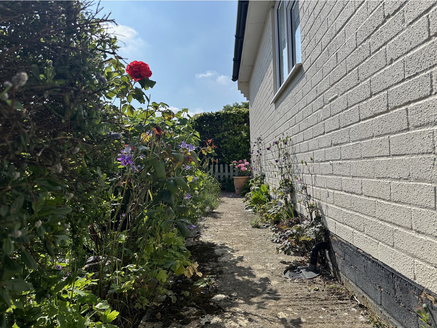 english garden