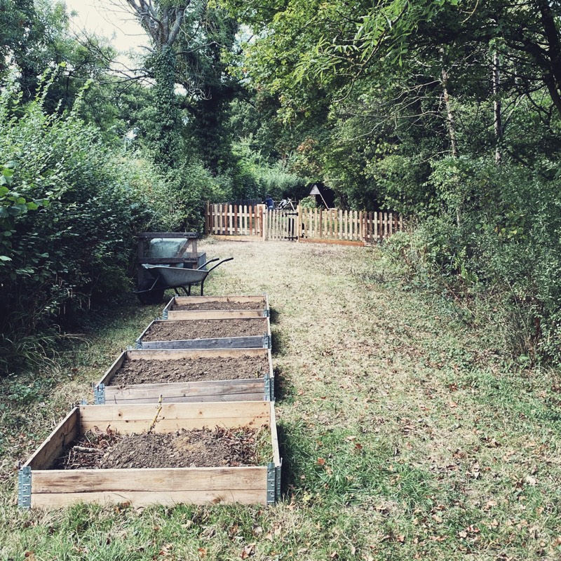 pig area fencing diy project